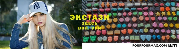 СК Алексин