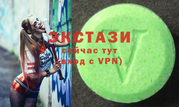 СК Алексин