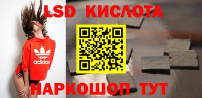 стаф Кингисепп