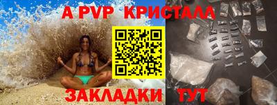 стаф Кингисепп