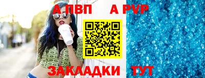 стаф Кингисепп