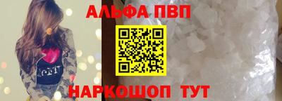 стаф Кингисепп