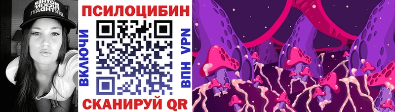 Псилоцибиновые грибы Psilocybine cubensis  Балашиха 