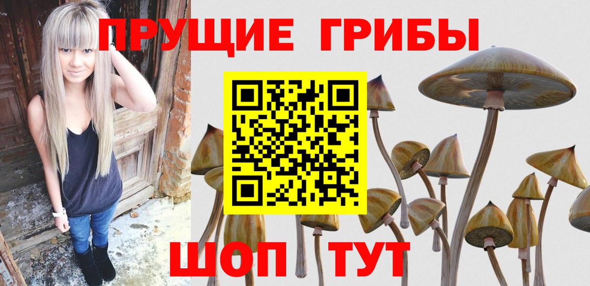 что такое   Галлюциногенные грибы мухоморы  Вход с VPN  Балашиха 